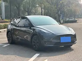 Tesla Model Y 2025