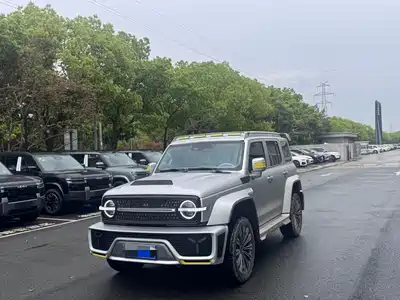 Crossboundary Auto Co-created Tank 300 2021