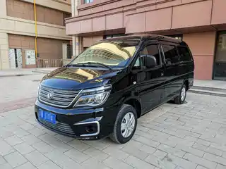 Dongfeng Fengxing Lingzhi 2020