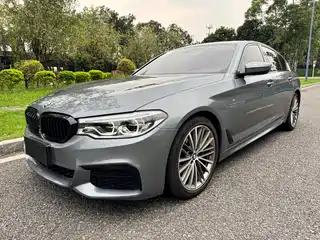 BMW 5 Series (Import) 2019