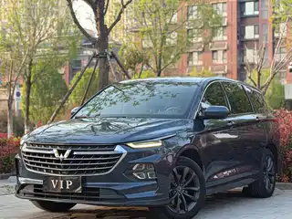 Wuling Motors Wuling Victory 2020