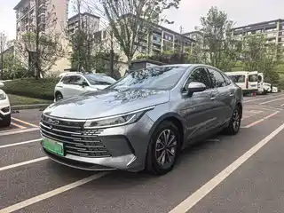 BYD Destroyer 05 2024