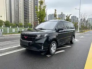 Wuling Motors Wuling Journey 2021