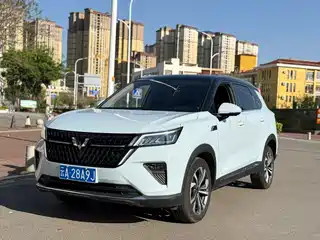 Wuling Motors Wuling Xingchen 2022