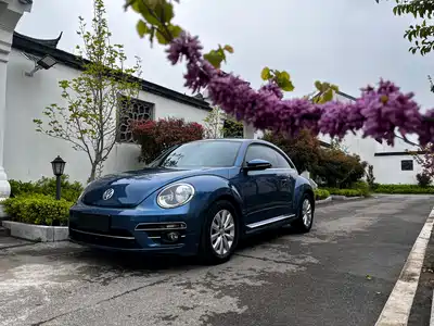 Volkswagen Beetle 2019