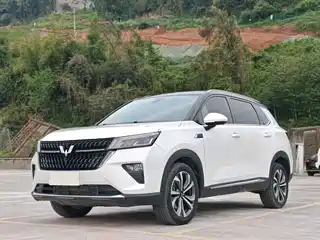 Wuling Motors Wuling Xingchen 2021