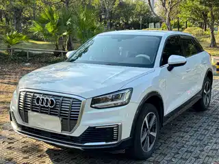 Audi Audi Q2L e-tron 2019