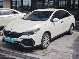 Venucia D60EV 2022