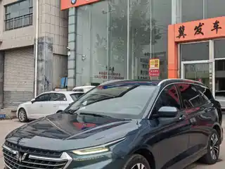 Wuling Motors Wuling Victory 2020