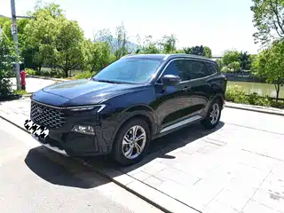 Ford Lingrui 2023