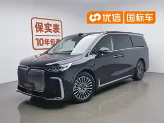 Voyah Auto Voyah Dreamer 2025