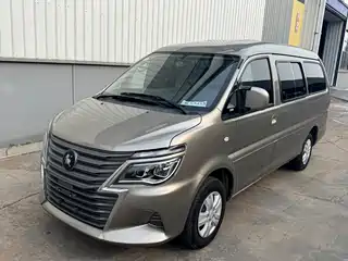 Dongfeng Fengxing Lingzhi 2023