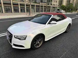 Audi A5 (Import) 2011