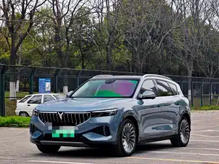 Voyah Auto FREE 2021