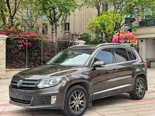 Volkswagen Tiguan 2013