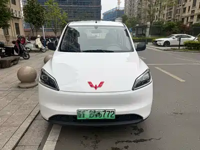 Wuling Motors Hongguang New Energy 2025