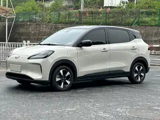 Wuling Motors Binguo PLUS 2024