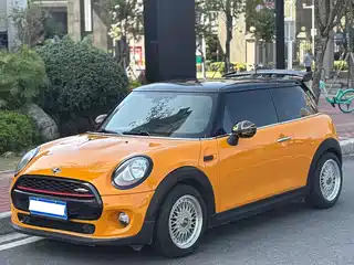 MINI MINI 2014