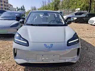 Wuling Motors Wuling Binguo PLUS 2024