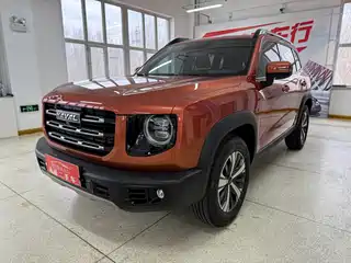 Haval Big Dog 2020