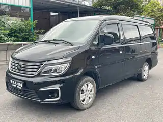 Dongfeng Fengxing Lingzhi 2021