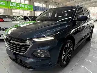 Wuling Motors Wuling Victory 2020