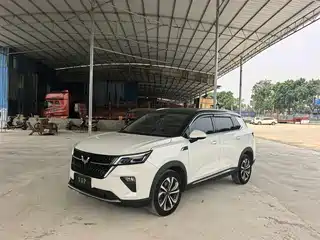 Wuling Motors Wuling Xingchen 2021