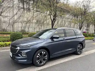 Wuling Motors Wuling Victory 2020