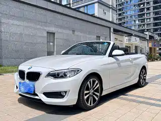 BMW 2 Series (Import) 2015