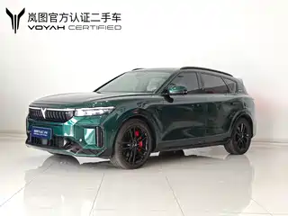Voyah Auto FREE 2024