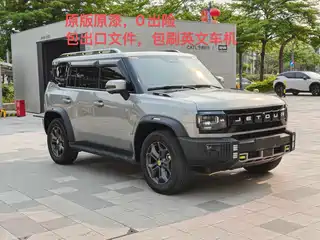 Jetour Shanhai Jetour Shanhai T2 2024