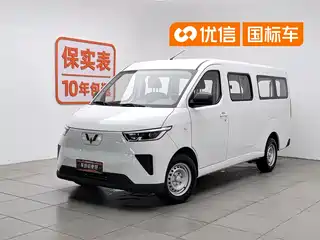 Wuling Motors Wuling Yangguang 2024