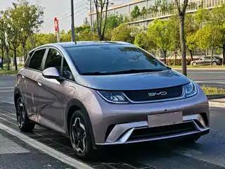 BYD Dolphin 2021