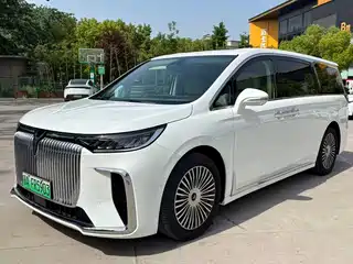Voyah Auto Dreamer 2024