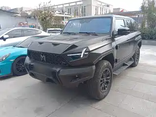 Mengshi 917 2023