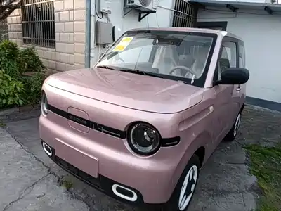 Geely Galaxy Panda 2025