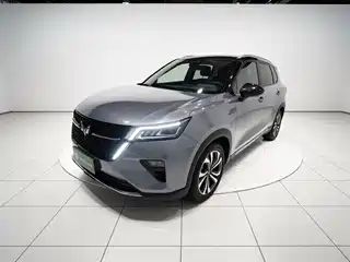 Wuling Motors Wuling Xingchen 2021