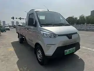 Wuling Motors Wuling Electric Truck 2021