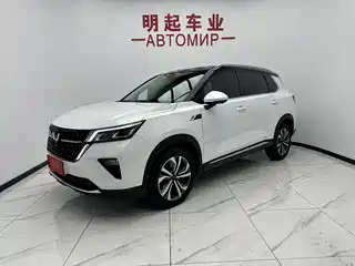 Wuling Motors Xingchen 2021