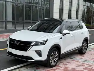 Wuling Motors Xingchen 2021