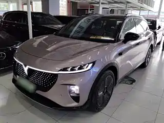 Voyah Auto Voyah Zhiyin 2024