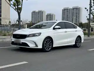 Geely Binrui 2020