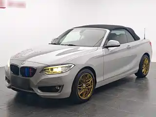 BMW 2 Series (Import) 2015