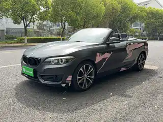 BMW 2 Series (Import) 2019