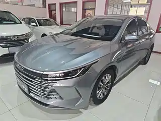 BYD Destroyer 05 2024