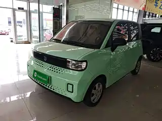 Baizhi New Energy Baizhi Big Bear 2022