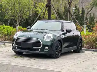MINI MINI 2018