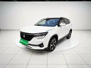 Dongfeng Fengxing Fengxing T5 2019