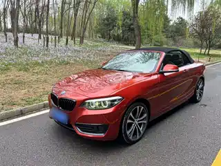 BMW 2 Series (Import) 2019