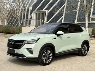 Wuling Motors Wuling Xingchen 2021